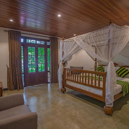 אלה Avenra Cottage מראה חיצוני תמונה