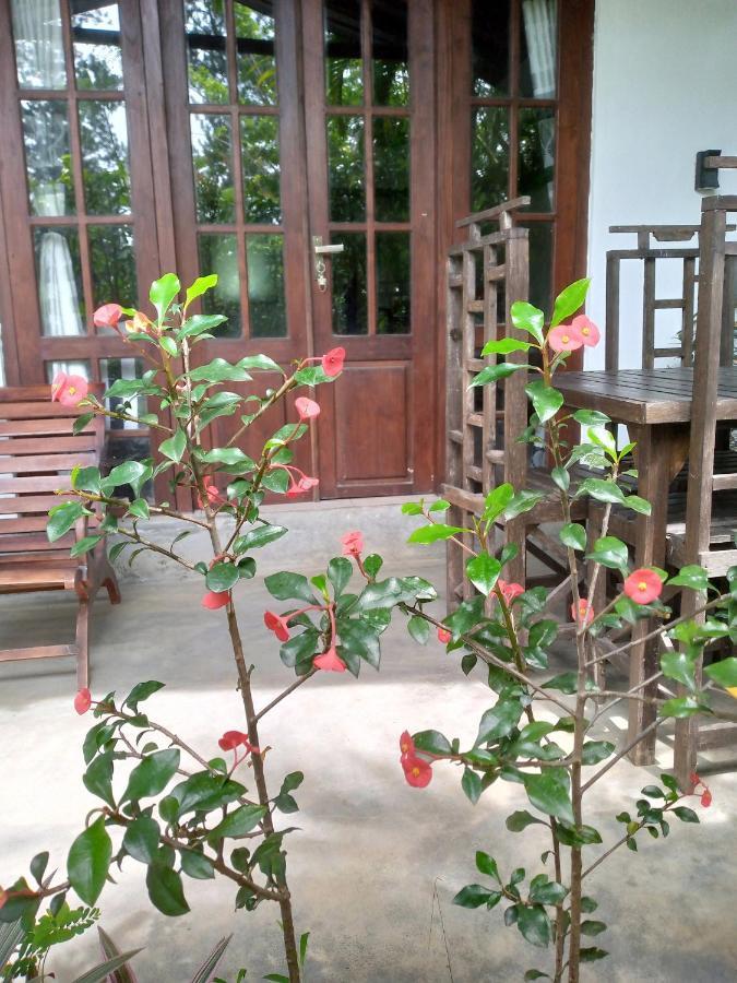 אלה Avenra Cottage מראה חיצוני תמונה